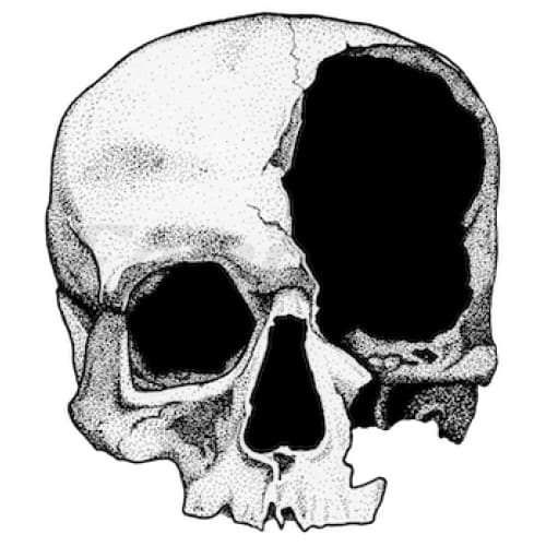 Broken Skull Temporary Tattoo